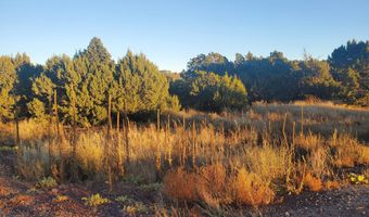 1 COUNTY ROAD N8155, Concho, AZ 85924