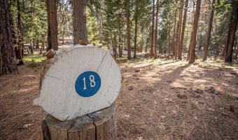 3293 Hoopa Cir, Arnold, CA 95223