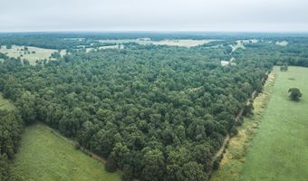 1569 Spider K Rd, Anderson, MO 64831