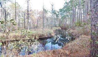 123 Westover Dr, Adel, GA 31620