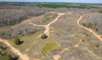 Vista Lane, Bethel Springs, TN 38315