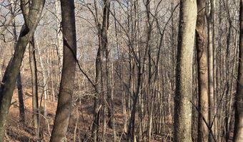 River Oak drive lot 7, Big Sandy, TN 28320