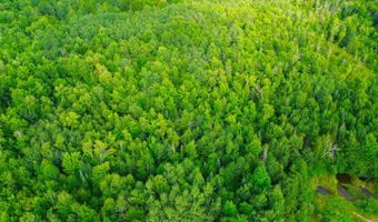 County Road Y, Aniwa, WI 54408