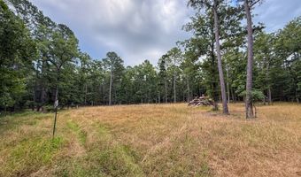 Old Moyers Road, Antlers, OK 74523