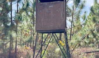 100 Doc Hunter Rd, Baxley, GA 31513