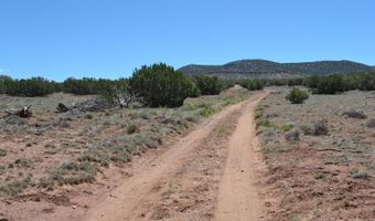 N8604 1, Concho, AZ 85924