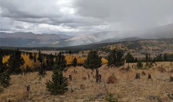 0 Snow Cap Peaks Rd, Alma, CO 80402