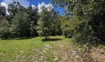 4899 36th St, Bell, FL 32619