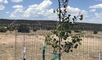 006 A N8036 107-65-006A, Concho, AZ 85924