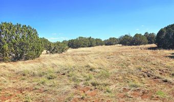 20 CO Rd, Concho, AZ 85924