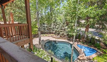 503 W Main St B202, Aspen, CO 81611