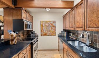 124 W Hyman Ave 3B, Aspen, CO 81611