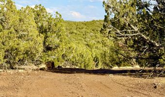 37 Co Rd N8174 10.1 Acres, Concho, AZ 85924