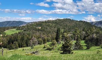 Blacktooth Road lot 12, Big Horn, WY 82833