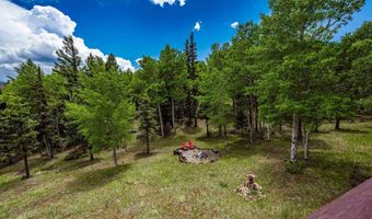 59 Palo Flechado Ridge Rd, Angel Fire, NM 87710
