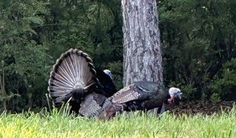 35 Prayer Trl, Aragon, GA 30104