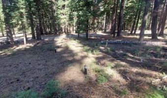 1 Acre McKenney Dr, Alturas, CA 96101