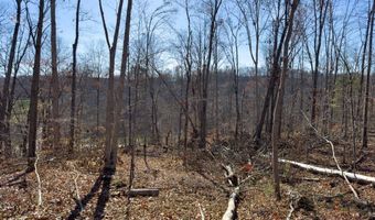 0 W Captina Highway Rd, Alledonia, OH 43902