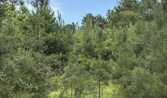 Fop Lodge Rd, Andalusia, AL 36421