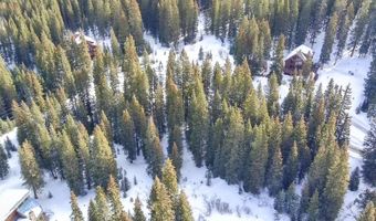 707 CR 674, Breckenridge, CO 80424