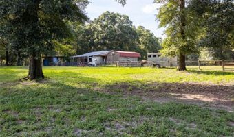 9106 SW 124 St, Archer, FL 32618