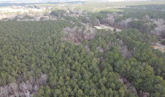 Tbd Highway 461, Ahoskie, NC 27910