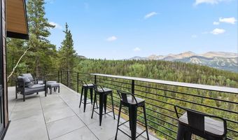 2520 BOREAS PASS Rd, Breckenridge, CO 80424