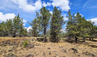 Canvasback Drive 32, Bonanza, OR 97623