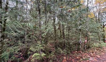 40 XX Sand Dollar Rd W, Bremerton, WA 98312