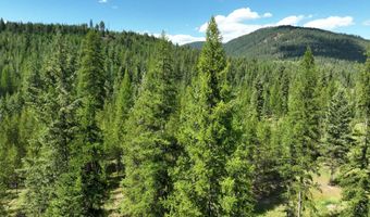 Nna 196 Acres Hwy 95, Bonners Ferry, ID 83805