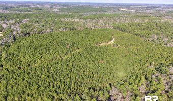 Jones Lane, Bay Minette, AL 36507