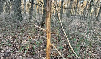0002 CR-290, Asbury, MO 64832