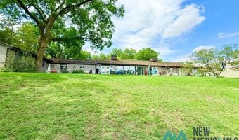 1005 N Shore Dr, Carlsbad, NM 88220