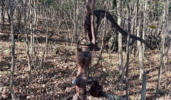 Tbd 125th Street, Alden, WI 54001