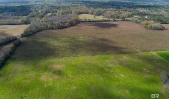 Parcel B Pine Grove Road, Bay Minette, AL 36507