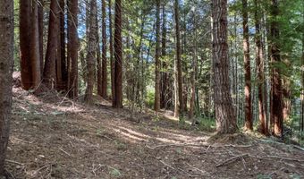 7097 Fickle Hill Rd, Arcata, CA 95521