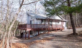 10 LERNER, Basye, VA 22810