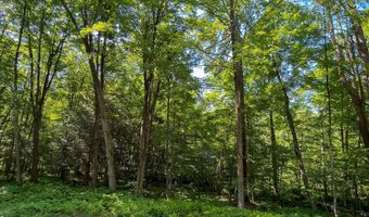 Great Hollow Road, Cornwall, CT 06753