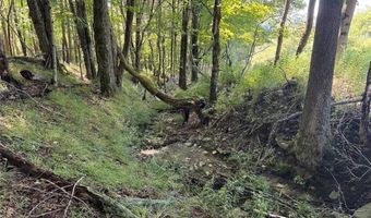 Lynch Road, Alfred, NY 14806
