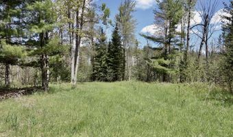 5826 S Morrison Rd, Alger, MI 48610
