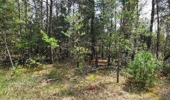 Lot 303 Cypress Drive, Arkdale, WI 54613