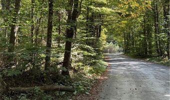 Beaver Trail lot # 1, Alder Creek, NY 13301