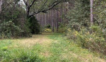 0 County Road 79 S, Baker Hill, AL 36027