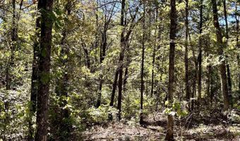 1011 Granny Hollar Rd, Atkins, AR 72823