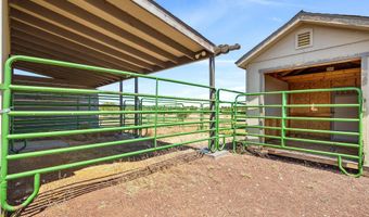 County Road 8620, Concho, AZ 85924