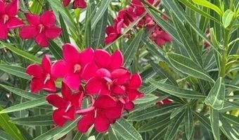 102 W Dobbs St, Atlantic Beach, NC 28512