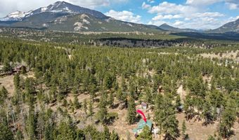 131 County Road 90, Allenspark, CO 80510