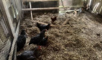 7299 Ida Rd, Albany, KY 42602