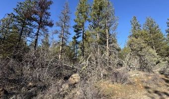 Badger Lane, Bonanza, OR 97623