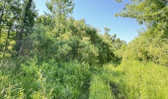 13513 100th St SE, Alto, MI 49302